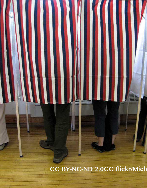 People standing in polling booths on election day