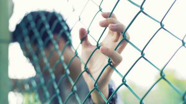 Child leaning on chainlink fence