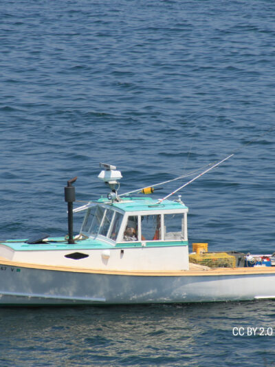 white lobster boat with traps in Maine harbor