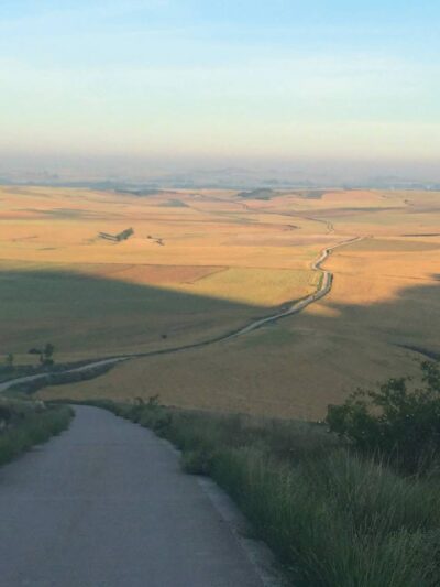 Long, Winding Road Leading Down a Hill Into Open Farmland