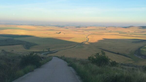 Long, Winding Road Leading Down a Hill Into Open Farmland