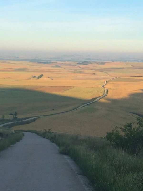 Long, Winding Road Leading Down a Hill Into Open Farmland