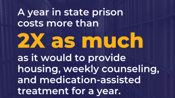 The Cost of Criminalizing