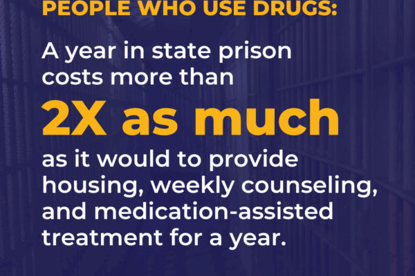 The Cost of Criminalizing