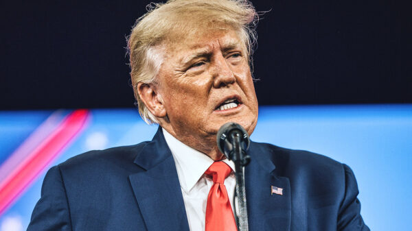 A picture of Donald Trump.