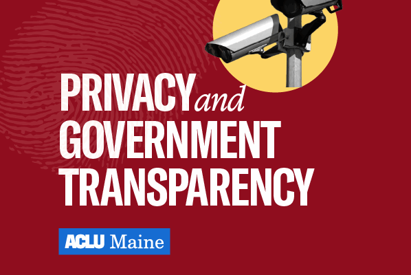 Privacy and Government Transparency Graphic