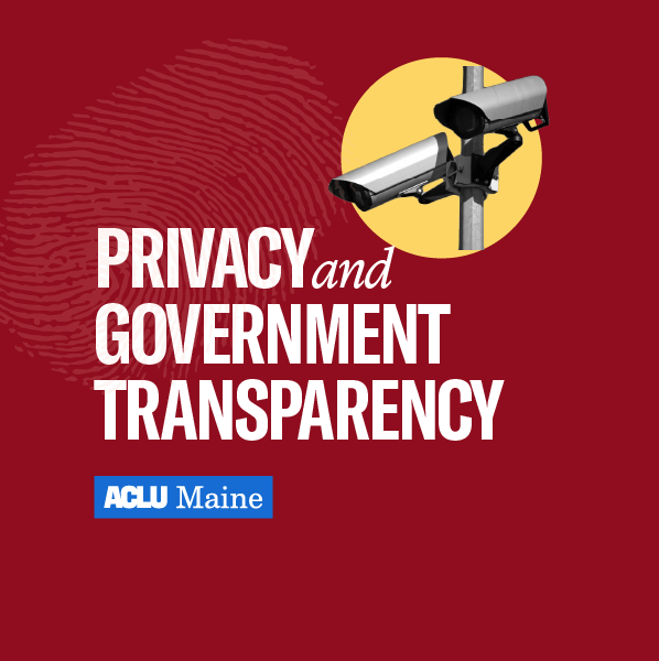 Privacy and Government Transparency Graphic