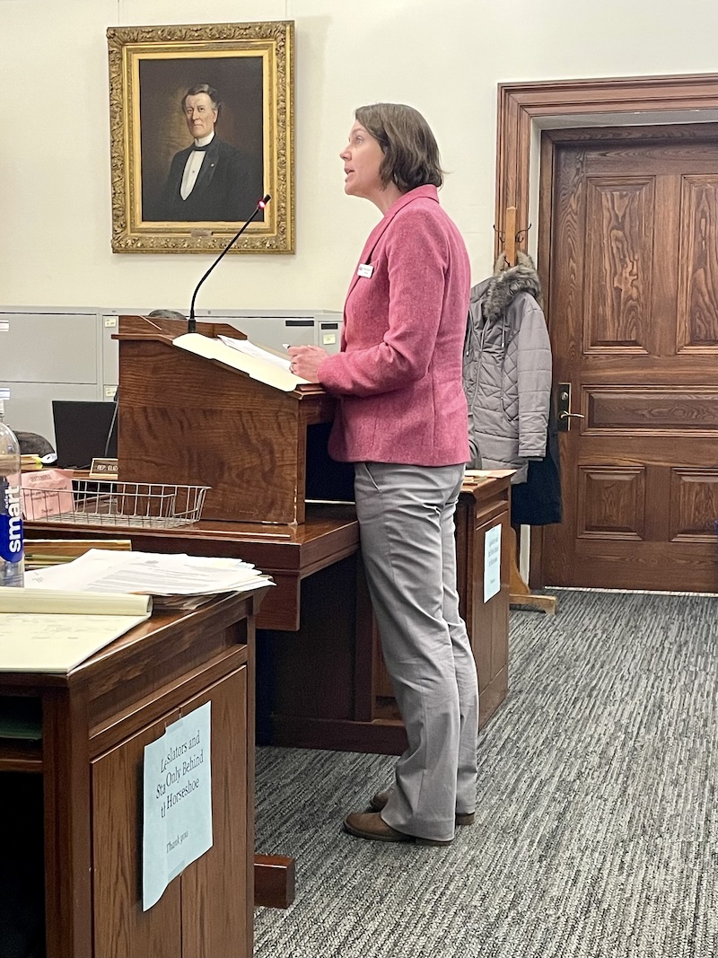 Carol Garvan LD 340 Testimony