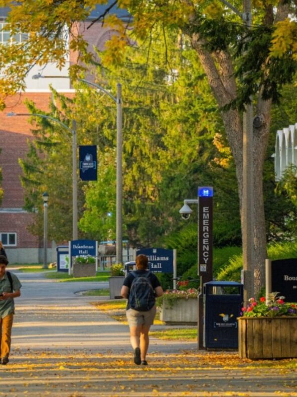 University of Maine