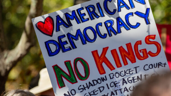 Person holding homemade protest sign reading "American Democracy No Kings"