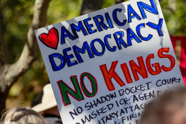 Person holding homemade protest sign reading "American Democracy No Kings"