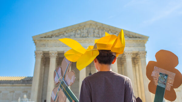 Birthright Citizenship Rally at SCOTUS