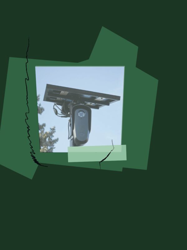 Image of a mounted Flock camera