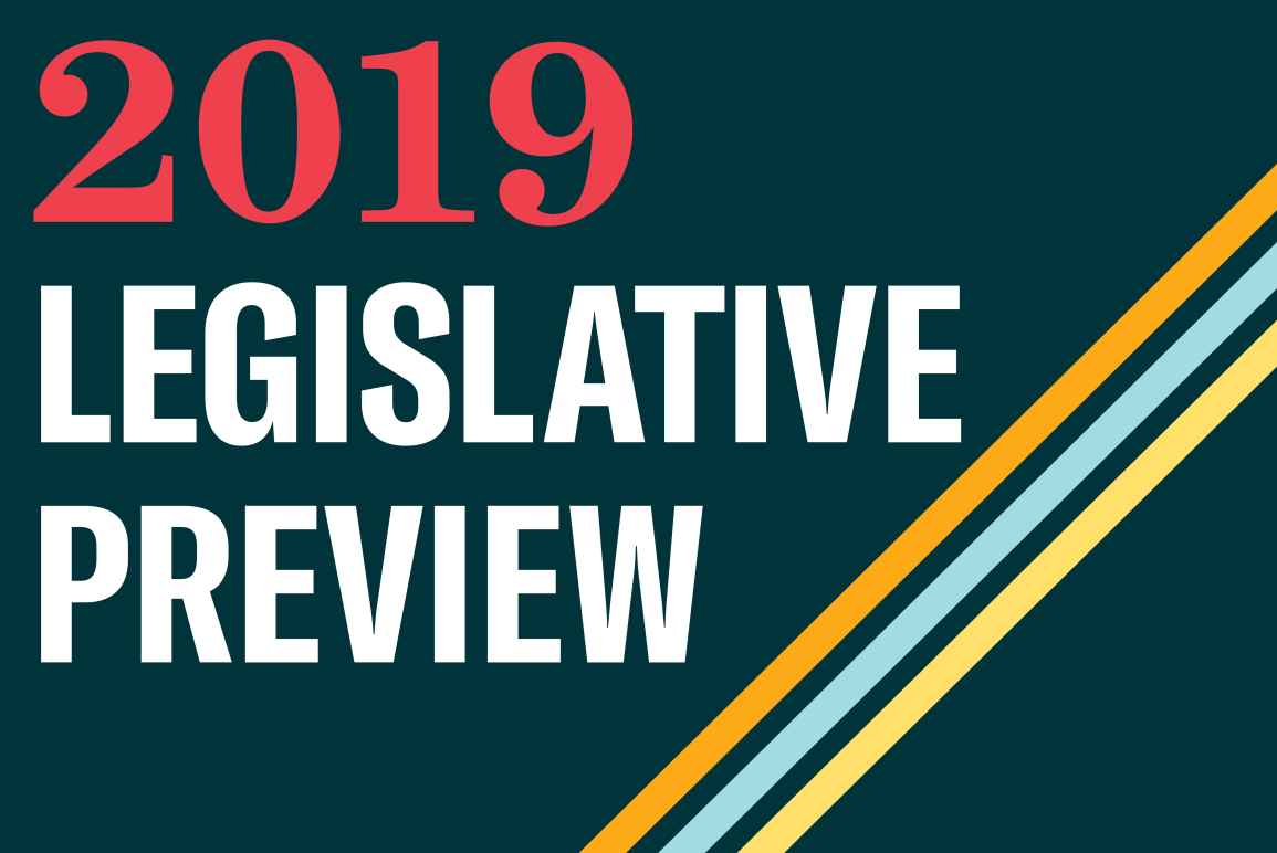 2019 Legislative Preview