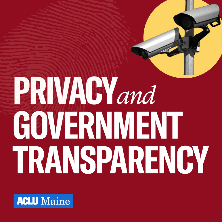 Privacy and Government Transparency