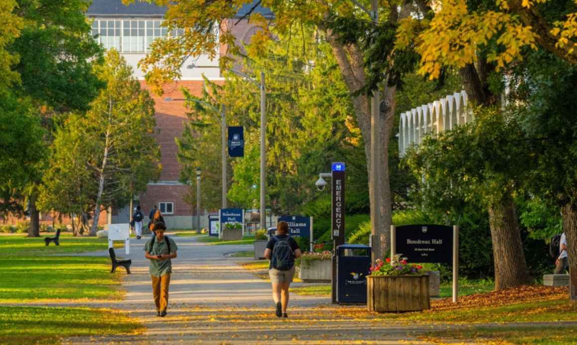 University of Maine