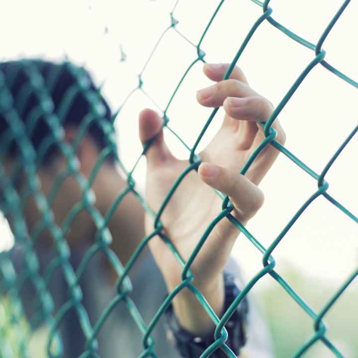 Child leaning on chainlink fence