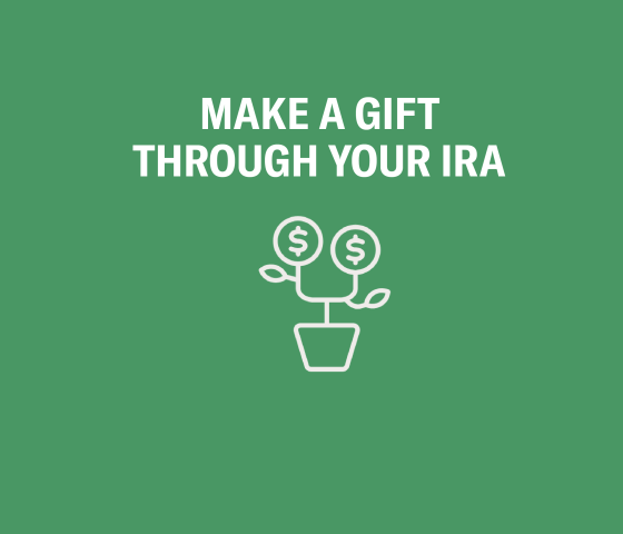 IRA Gift Tile